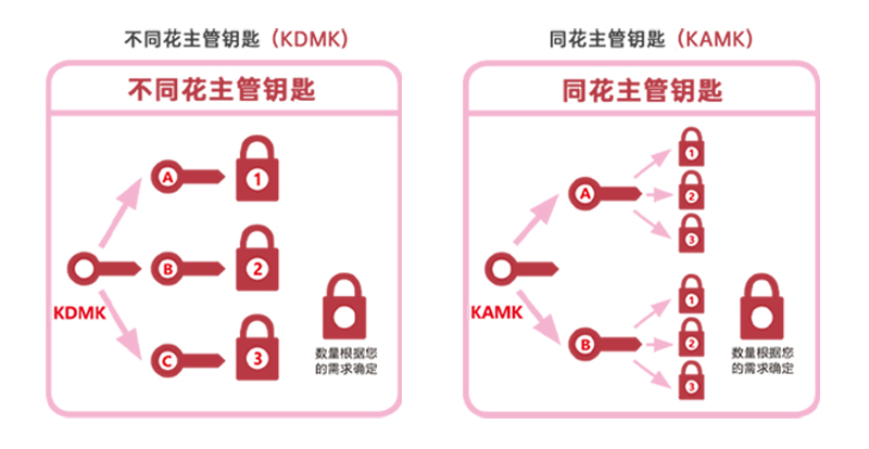 1645856059102718.jpg MK.jpg